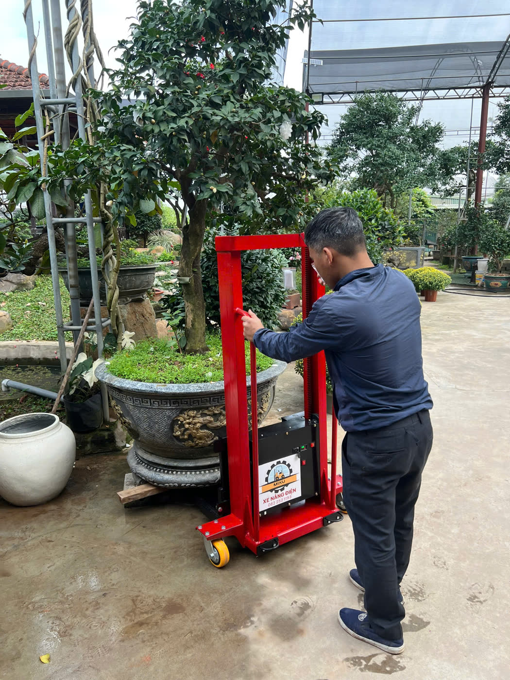 Một người nâng chậu cây cảnh bằng xe nâng MIXU